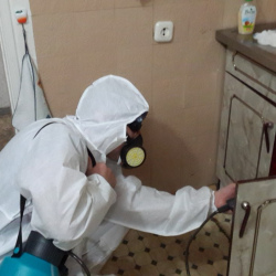 Дезинфекция от муравьев в квартире в Урус-Мартане